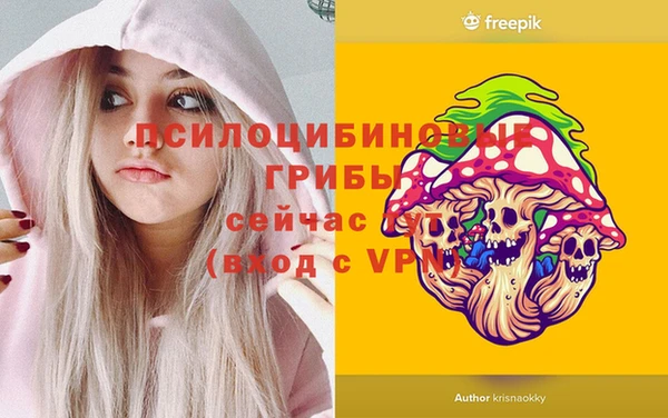 крисы Абдулино